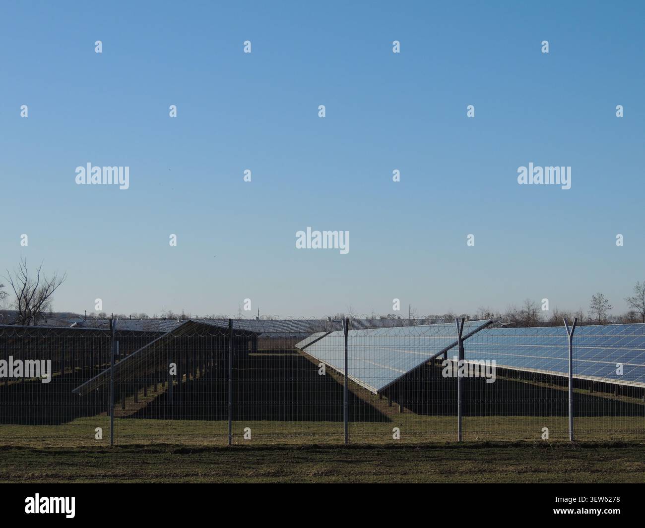 Des rangées de panneaux photovoltaïques bleus sont installées dans un espace ouvert et vert sous un ciel dégagé. Les panneaux solaires génèrent une énergie propre et alternative. Banque D'Images