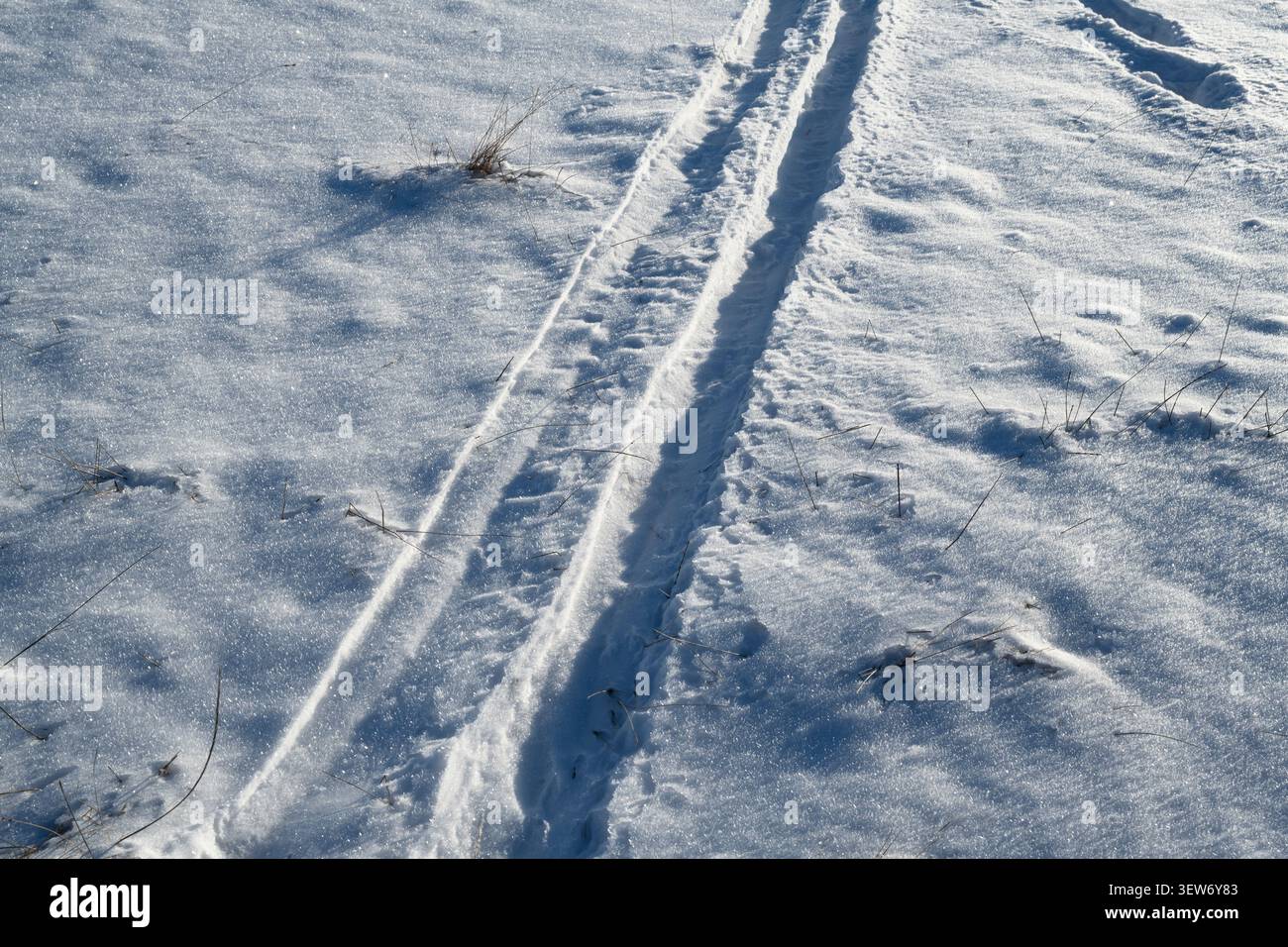 Les pistes de ski dans la neige Banque D'Images