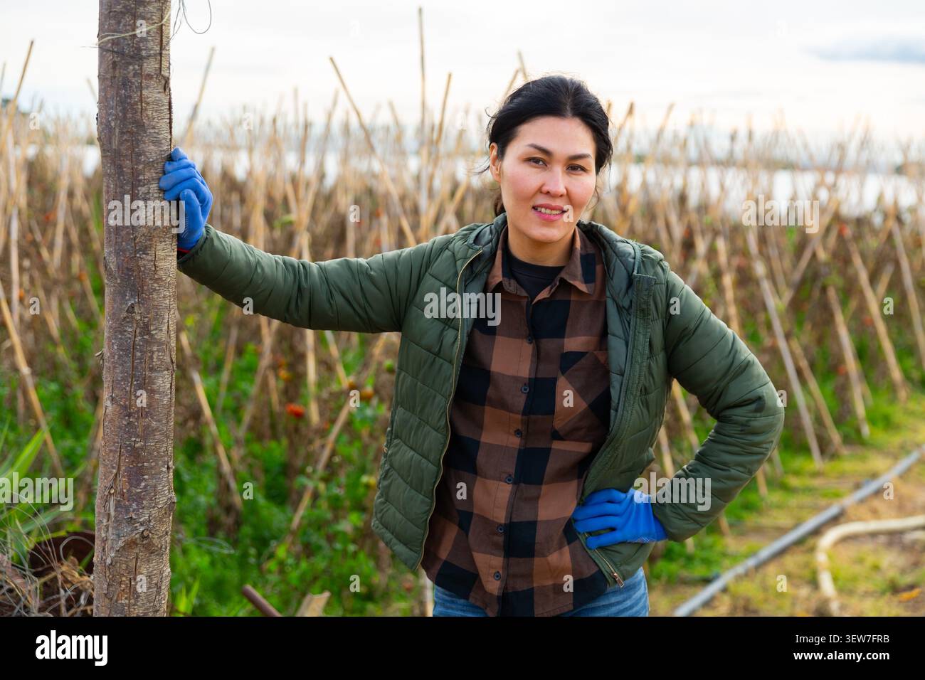 Portrait d'une agricultrice positive sur fond de plantation de pois sur le terrain agricole Banque D'Images