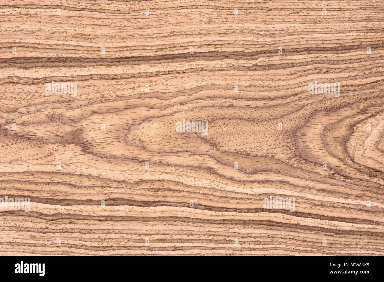texture en bois beige, planches vides comme arrière-plan. échantillon de bois Banque D'Images