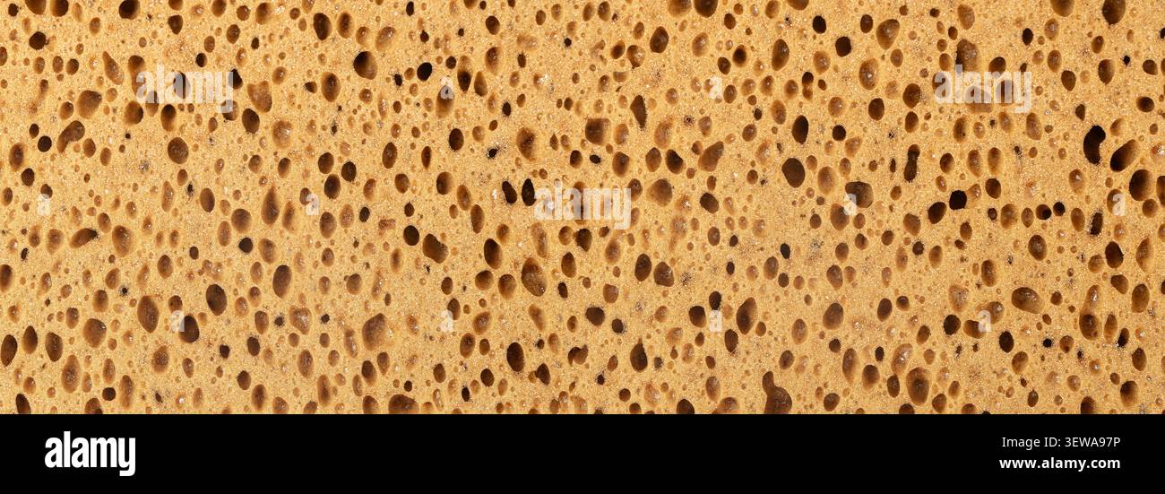 Vue rapprochée montrant la texture absorbante et cellulaire d'une éponge jaune Banque D'Images