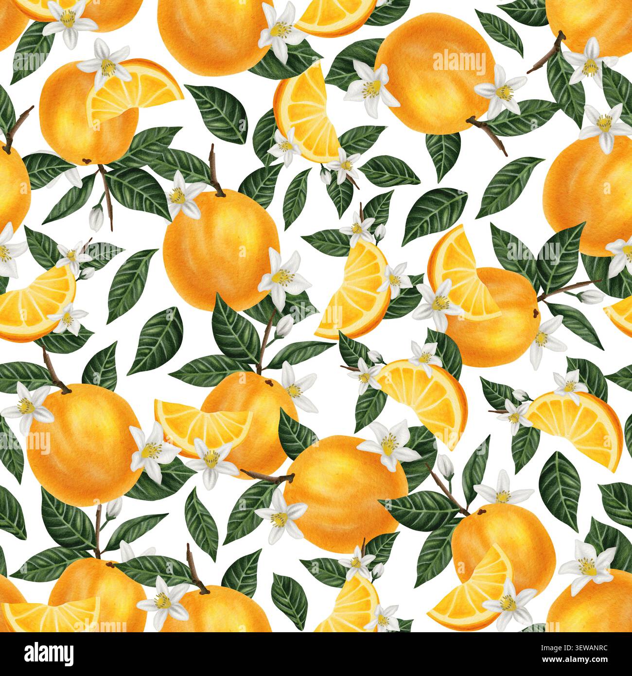Un motif sans couture d'oranges entières et tranchées entourées de feuilles d'orange et de fleurs. Motif botanique aquarelle avec des fruits tropicaux. Banque D'Images