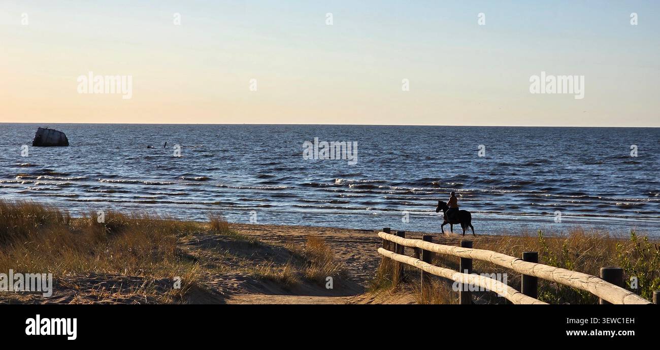 équitation sur une plage de sable calme au bord de la mer au coucher du soleil Banque D'Images