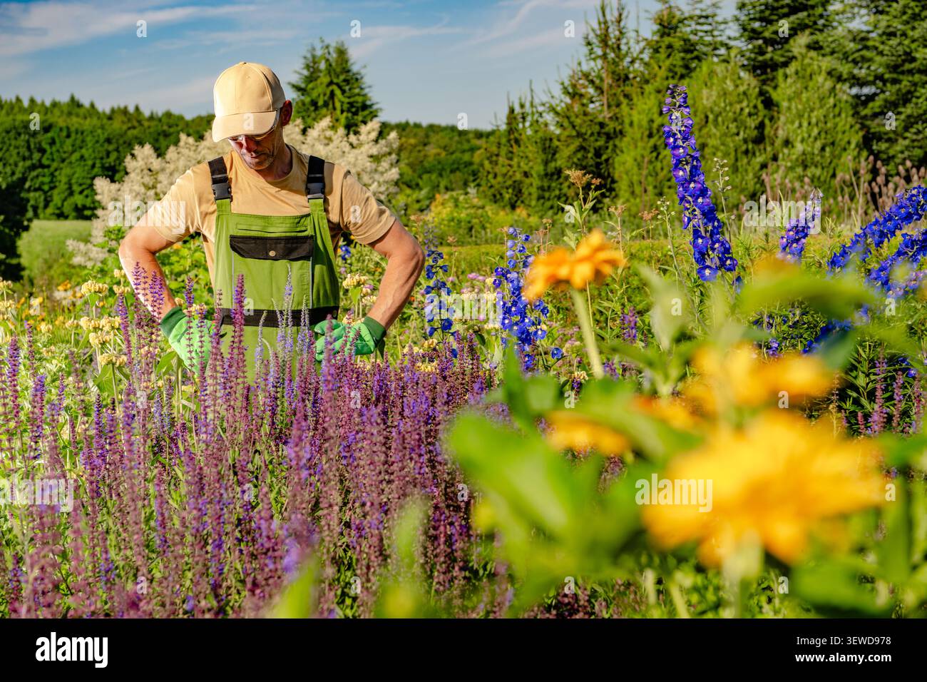 Une personne a tendance à fleurir des fleurs dans un jardin par un après-midi ensoleillé. Le jardin est rempli de diverses plantes colorées. Le feuillage vert entoure le SC Banque D'Images