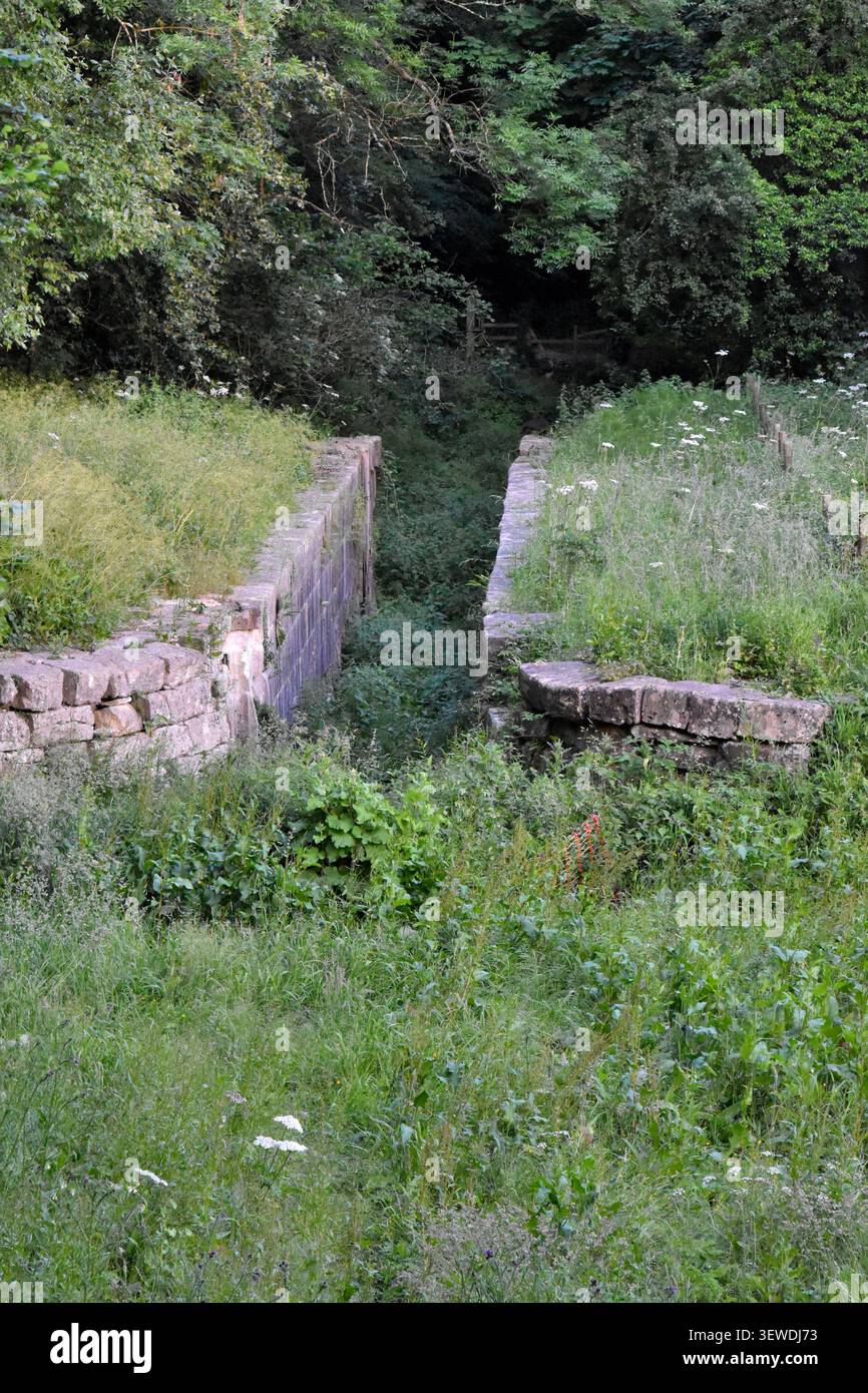 Une piscine en amont envahie par la végétation, des parois des ailes et une chambre d'écluse du canal charbonnier du Somersetshire abandonné et drainé à l'écluse de Combe Hay près de Bath, au Royaume-Uni. Banque D'Images