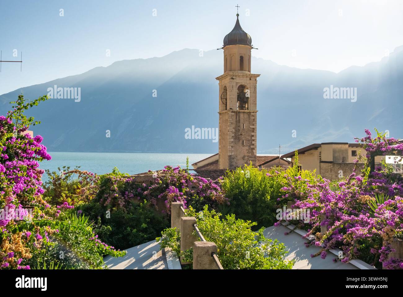Clocher de l'église et fleurs de Bougainvillea, Limone sul Garda, Italie Banque D'Images