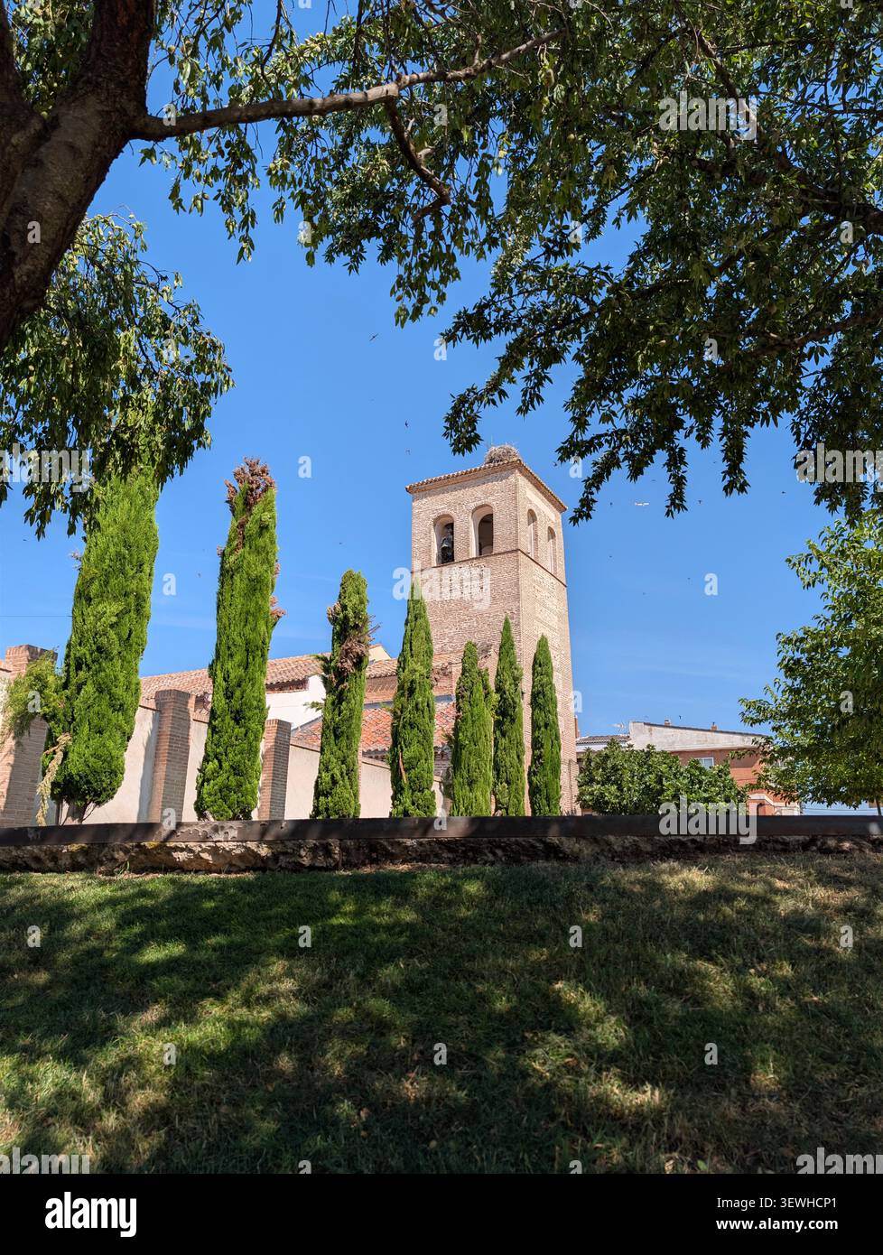 Une photographie en bas-angle, regardant à travers un cadre de branches d'arbres feuillus en surplomb, au vieux clocher en brique ensoleillé d'un coire de style espagnol Banque D'Images