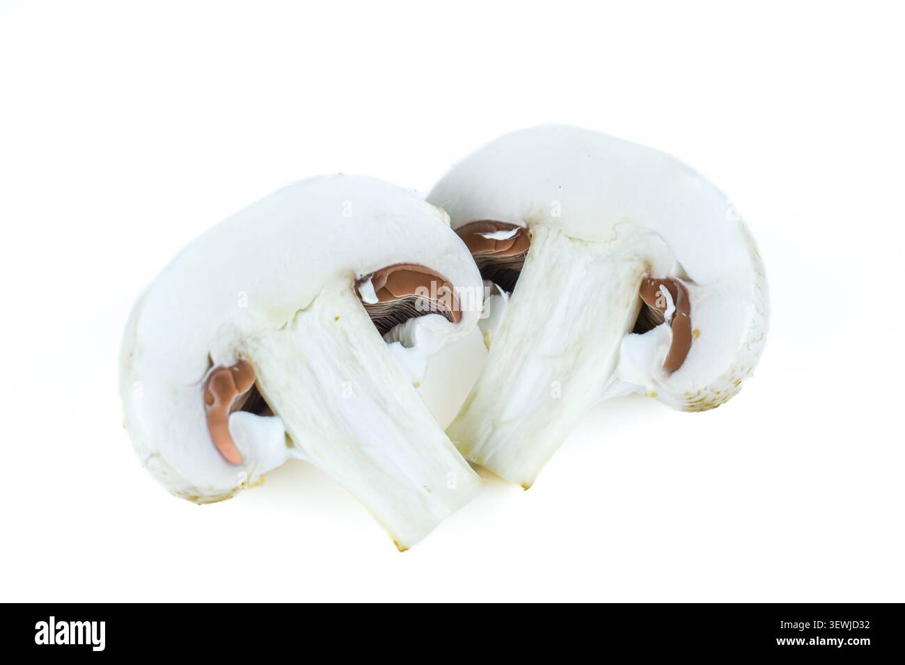 Moitiés de champignon blanc tranchées isolées sur blanc Banque D'Images