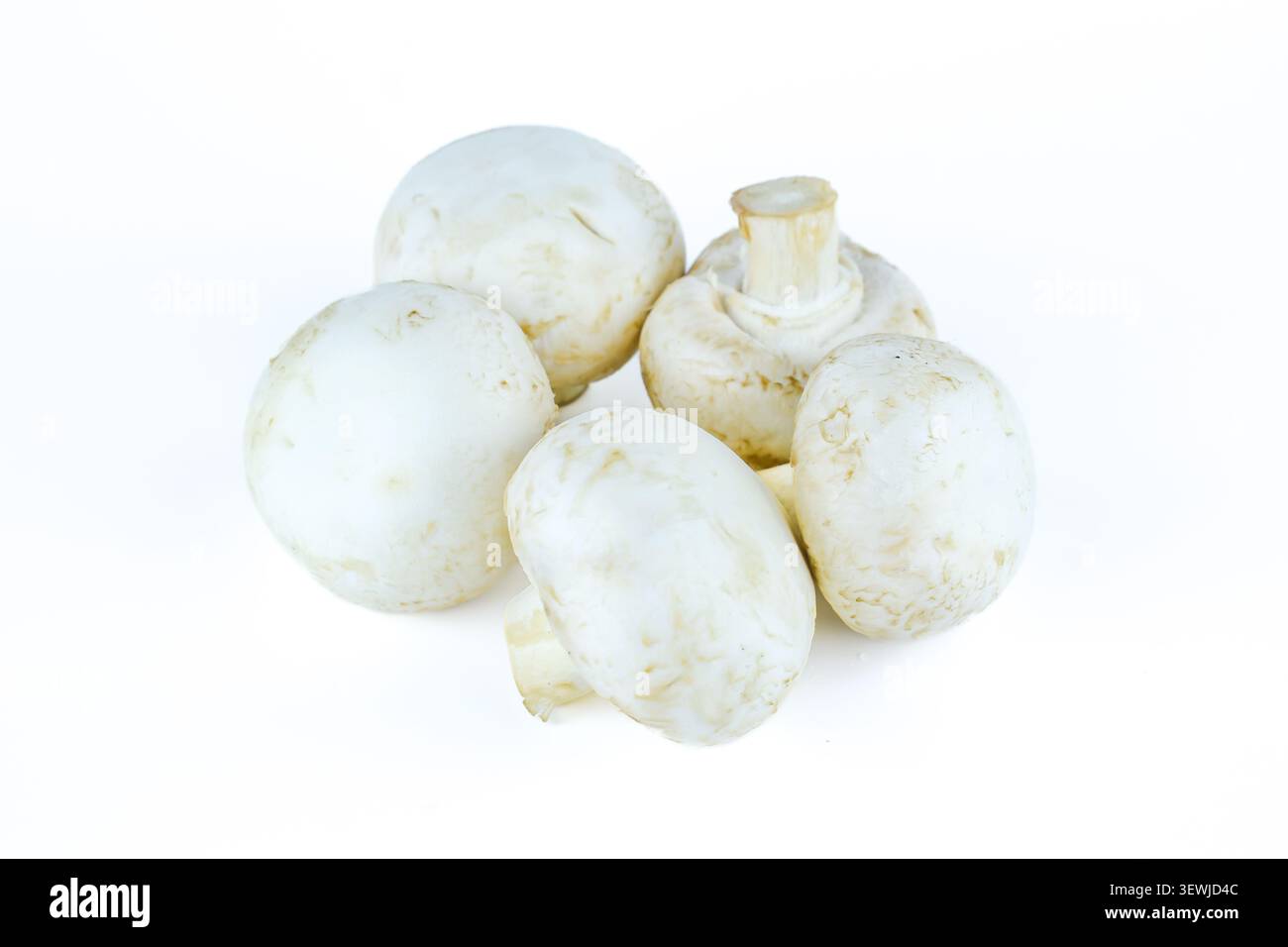 Champignons bouton blanc pile isolé sur fond blanc Banque D'Images