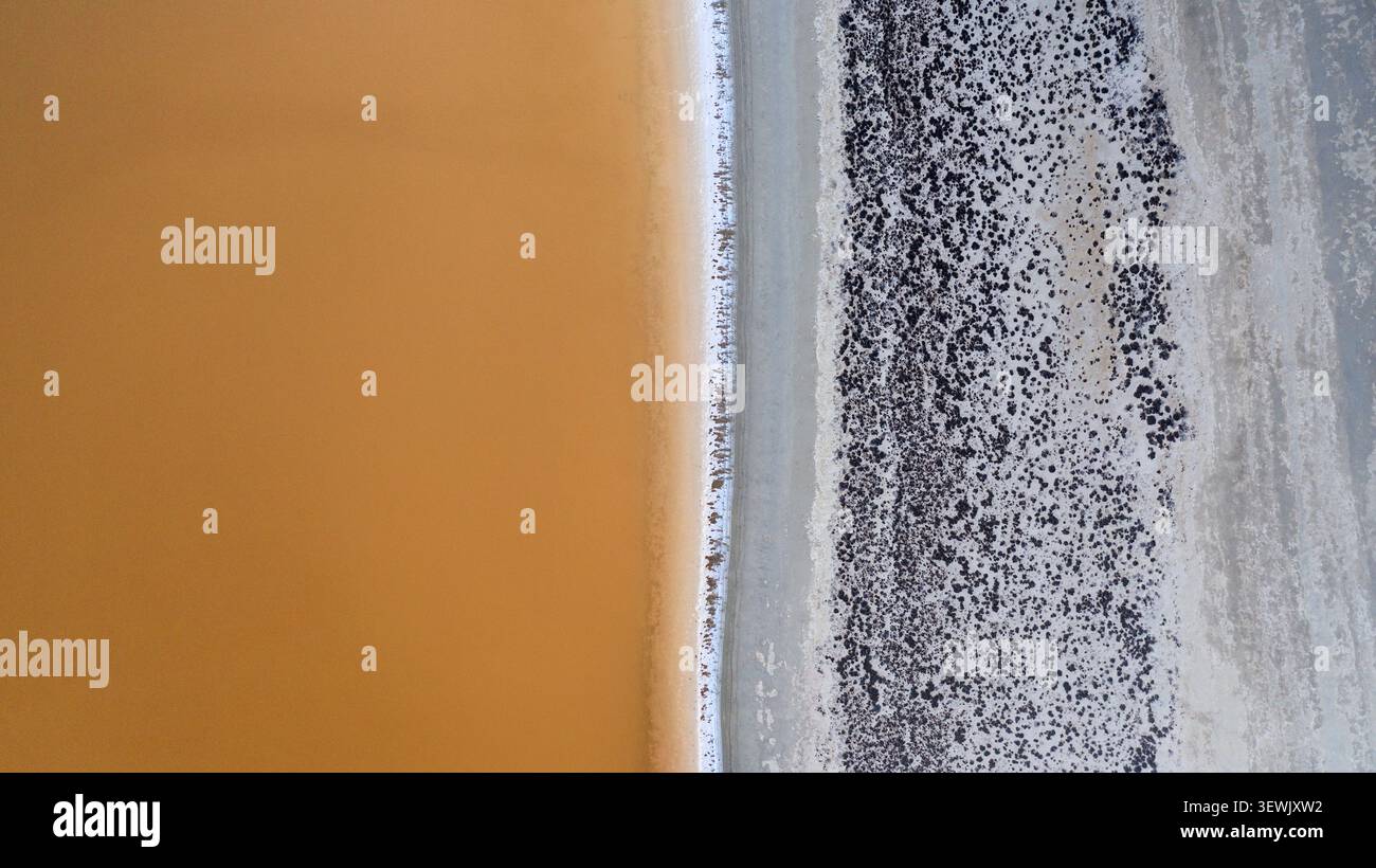 Vue aérienne du lac salé de Karlgarin montrant le contraste entre l'eau salée orange et la croûte salée blanche avec une végétation clairsemée de Karl Banque D'Images