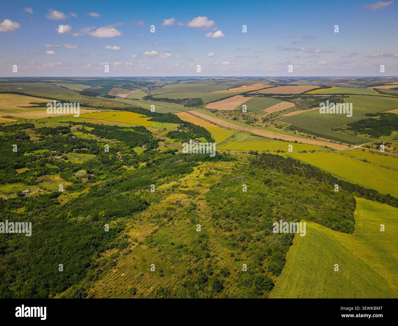 Un plan large aérien capture une mosaïque de champs agricoles et de forêts verdoyantes sous un ciel bleu avec des nuages éparpillés dans la campagne ukrainienne. Th Banque D'Images