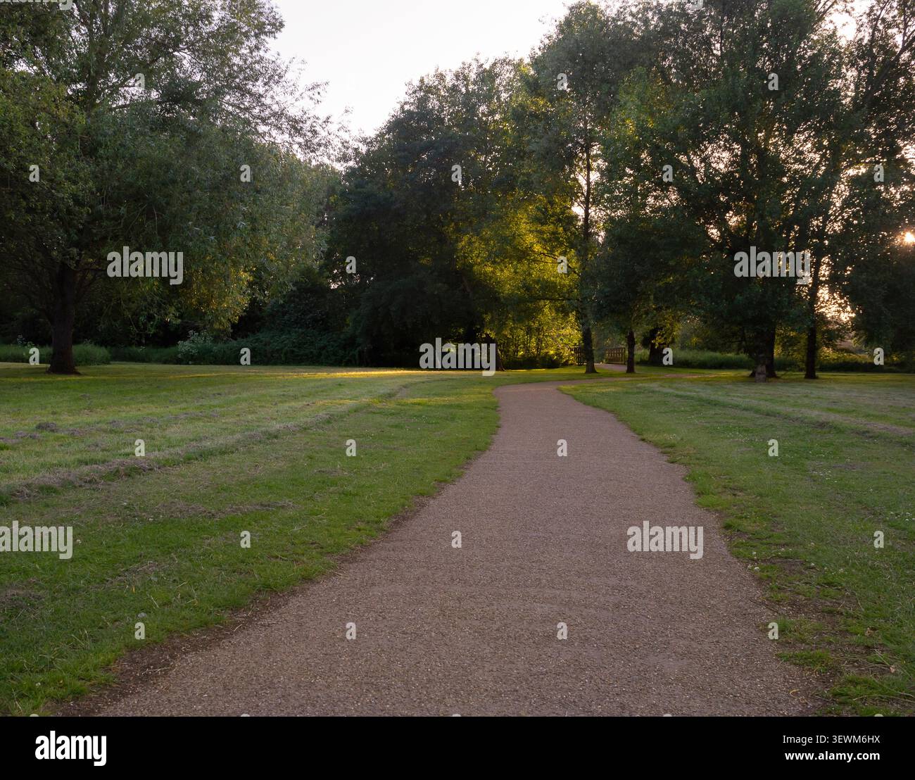Entretien du parc en Angleterre. Été. Coucher de soleil. Banque D'Images