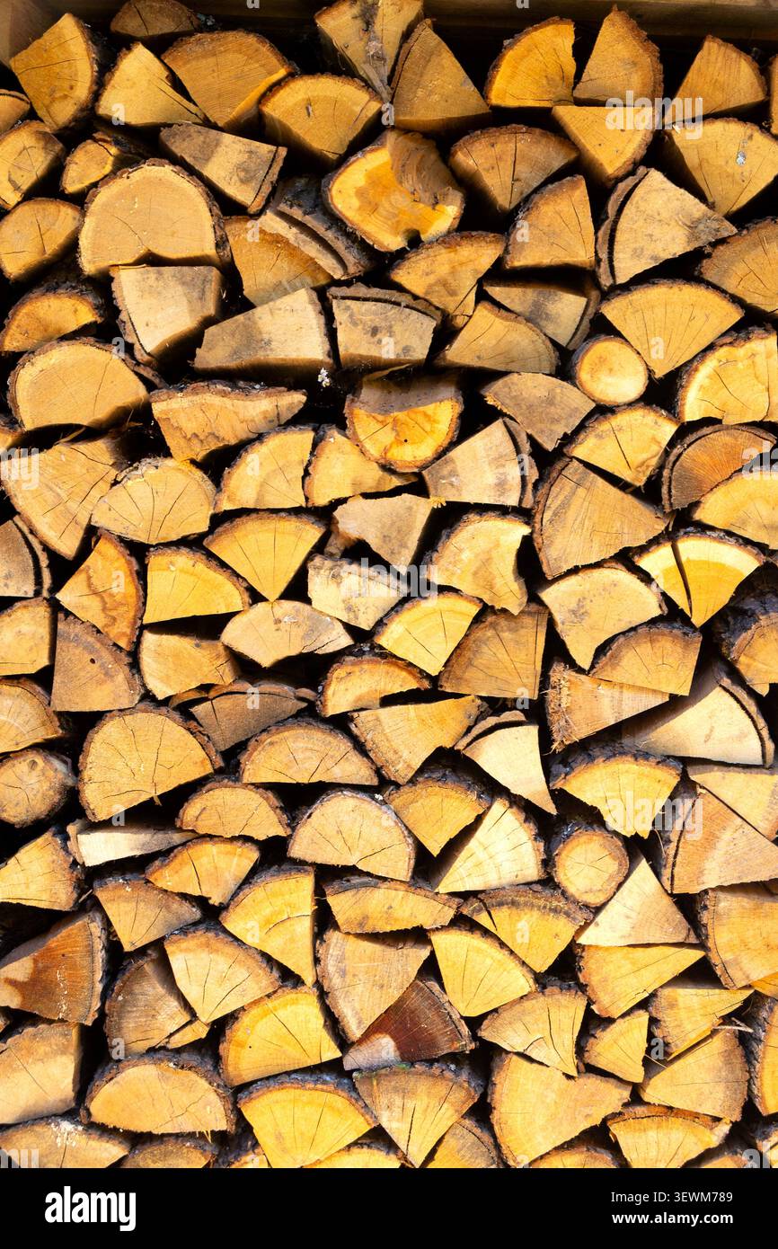 Gros plan de bûches de bois hachées empilées soigneusement dans une grande pile, belle texture de bois de chauffage rustique et motif de bois naturel pour l'arrière-plan sur un Banque D'Images