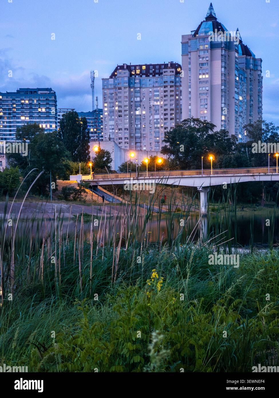 Bâtiments résidentiels modernes avec des fenêtres éclairées s'élevant au-dessus d'un pont et d'un canal d'eau avec des roseaux verts luxuriants pendant le crépuscule à Kiev, en Ukraine Banque D'Images