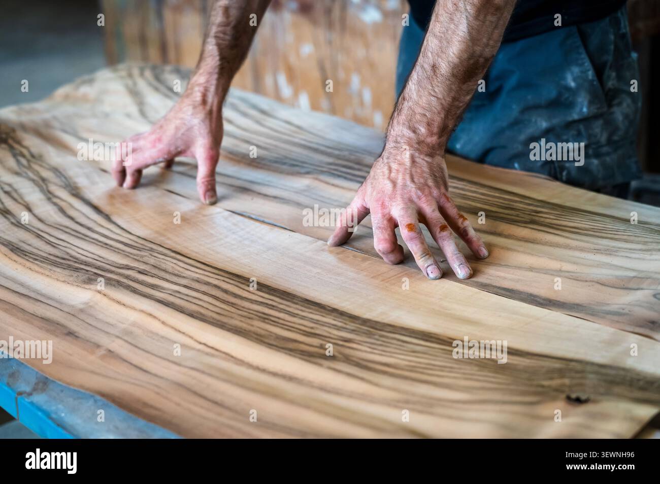 Un menuisier examine des feuilles de placage de bois exotiques avec de beaux motifs de grain naturel dans un atelier de menuiserie, soulignant la qualité des matériaux Banque D'Images