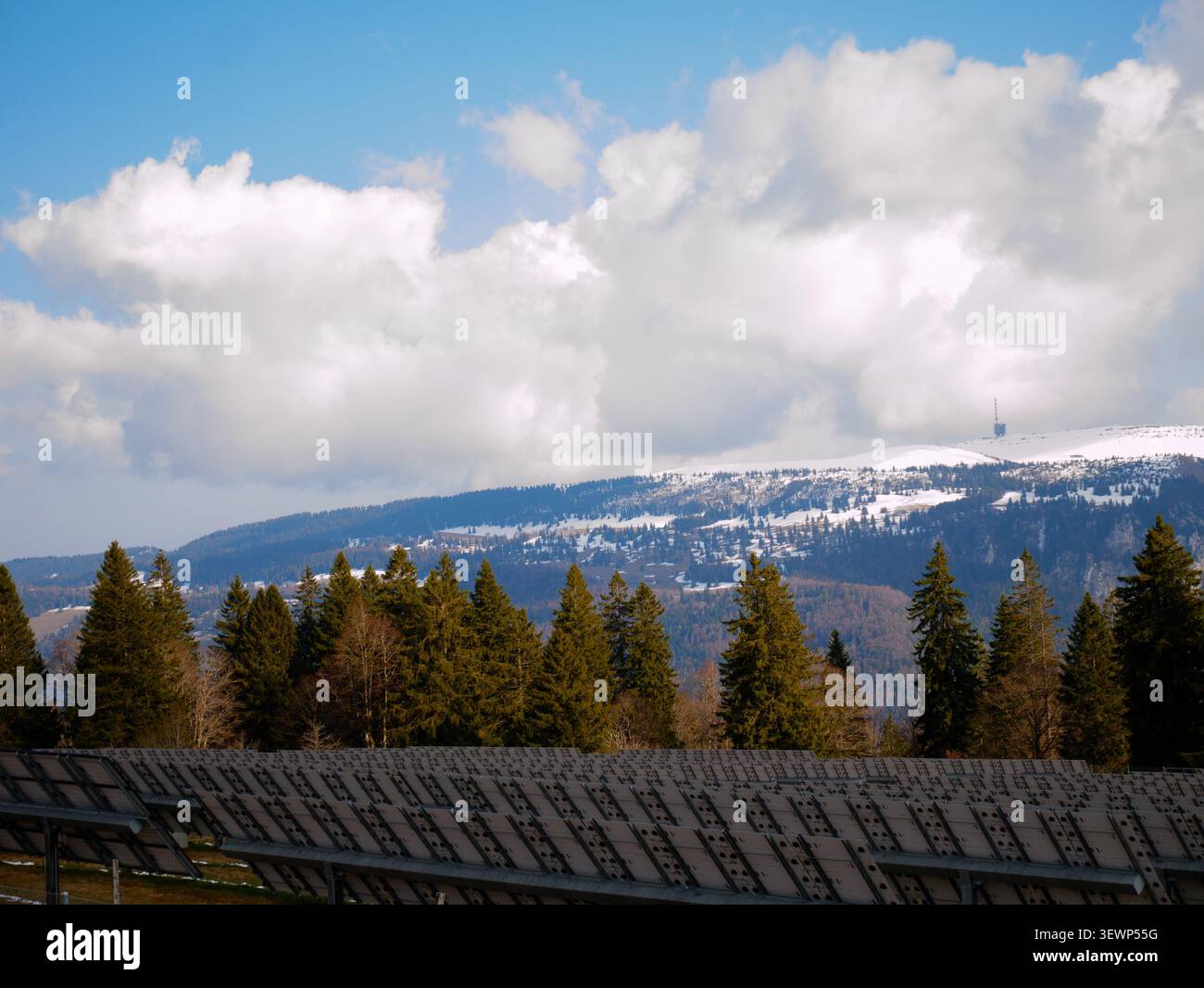 Les panneaux solaires sont disposés en rangées dans un champ, avec une toile de fond de montagnes enneigées et de pins verts sous un ciel partiellement nuageux, mettant en valeur un RU Banque D'Images