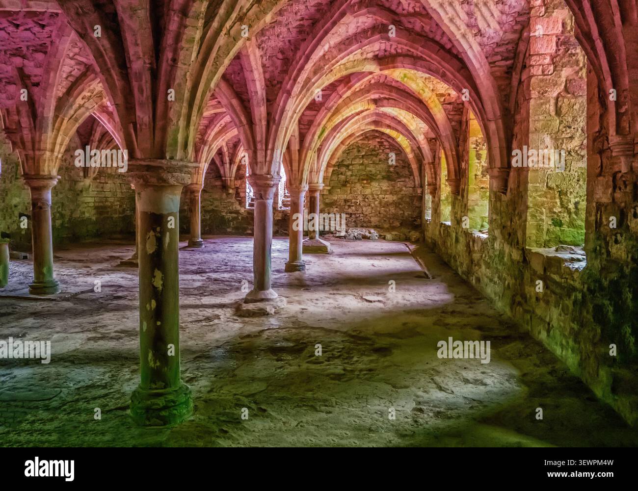 Battle Abbey une crypte médiévale atmosphérique avec des colonnes de pierre, des arches voûtées nervurées et de la maçonnerie rugueuse baignée de lumière rose et verte, évoquant bonjour Banque D'Images