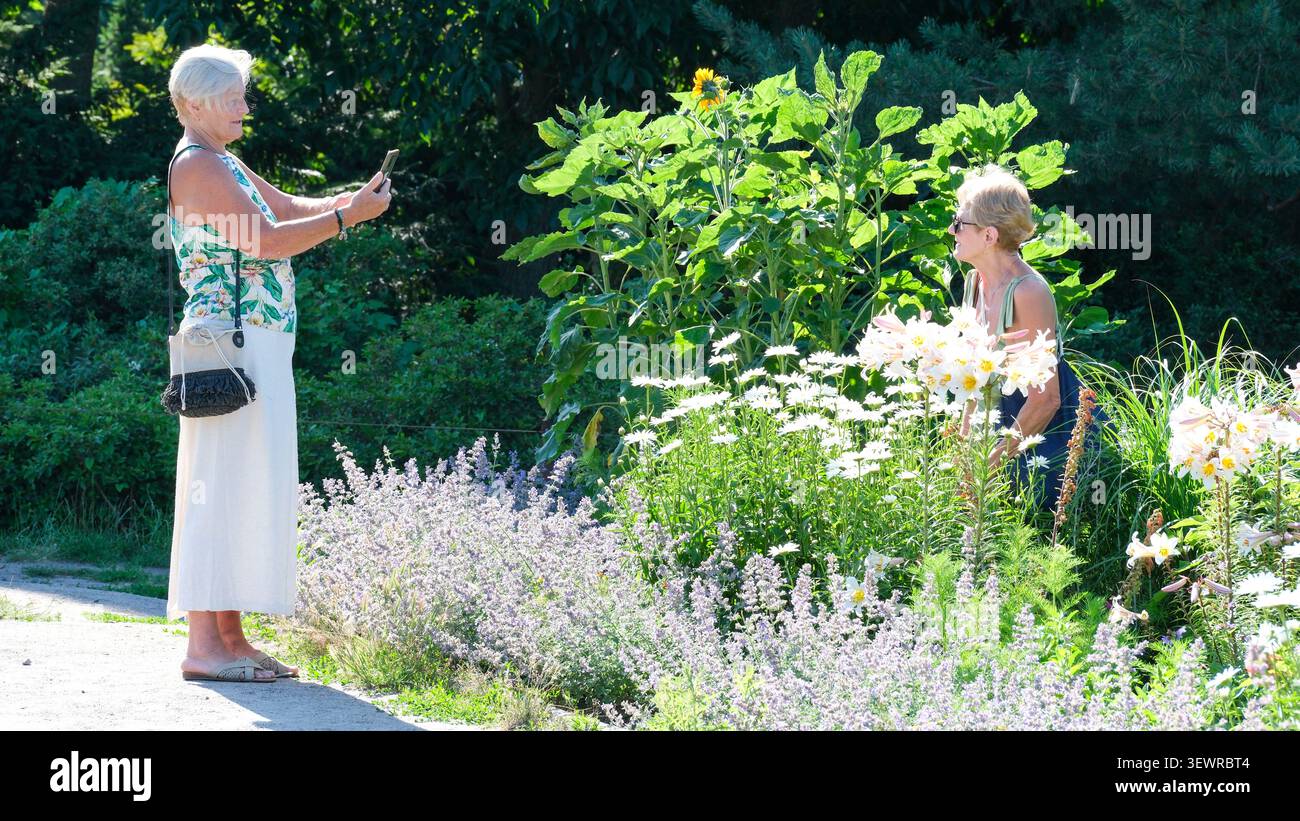 KIEV, UKRAINE - JUIN 2026 : deux visiteurs prennent des photos sur smartphone parmi les fleurs en fleurs au jardin botanique national Hryshko à Kiev. Photographie colo Banque D'Images