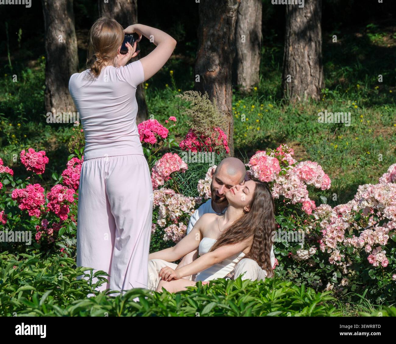 KIEV, UKRAINE - JUIN 2026 : un photographe réalise le portrait d'un couple entouré de roses en fleurs au jardin botanique national Hryshko à Kiev. Le Banque D'Images