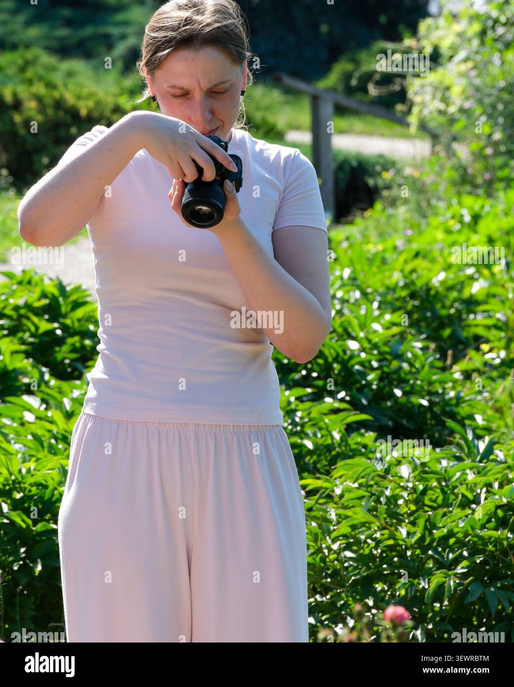 KIEV, UKRAINE - JUIN 2026 : un photographe examine des images sur un appareil photo numérique lors d'une séance de portrait en plein air au jardin botanique national Hryshko i. Banque D'Images