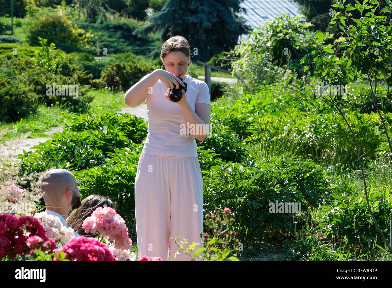KIEV, UKRAINE - JUIN 2026 : un photographe examine des images sur un appareil photo numérique lors d'une séance de portrait en plein air au jardin botanique national Hryshko i. Banque D'Images