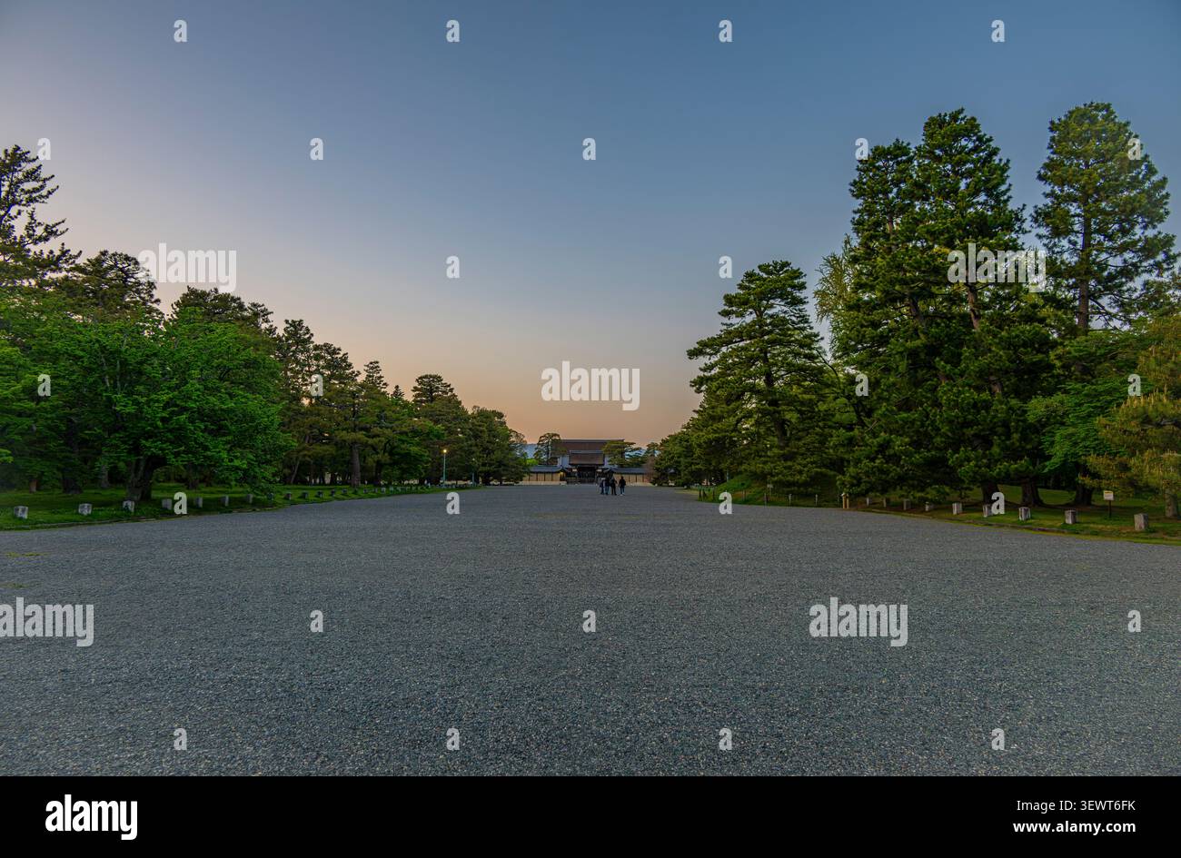 Le jardin national de Kyoto Gyoen, autour du Palais impérial de Kyoto, déserte étrangement au crépuscule d'avril Banque D'Images