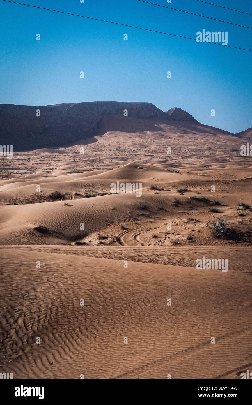 Vue sur le paysage désertique de Fossil Rock avec des dunes de sable vallonnées, des traces de pneus et un ciel bleu clair à Mleiha, Sharjah, Émirats arabes Unis. Banque D'Images