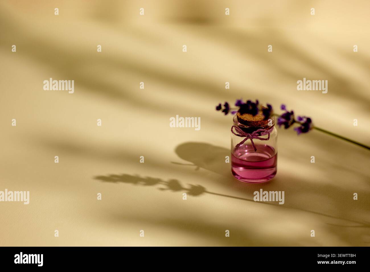 Composition de bien-être minimaliste avec des fleurs de lavande et une bouteille en verre rose avec des ombres naturelles douces sur un fond beige chaud, créant un CA Banque D'Images