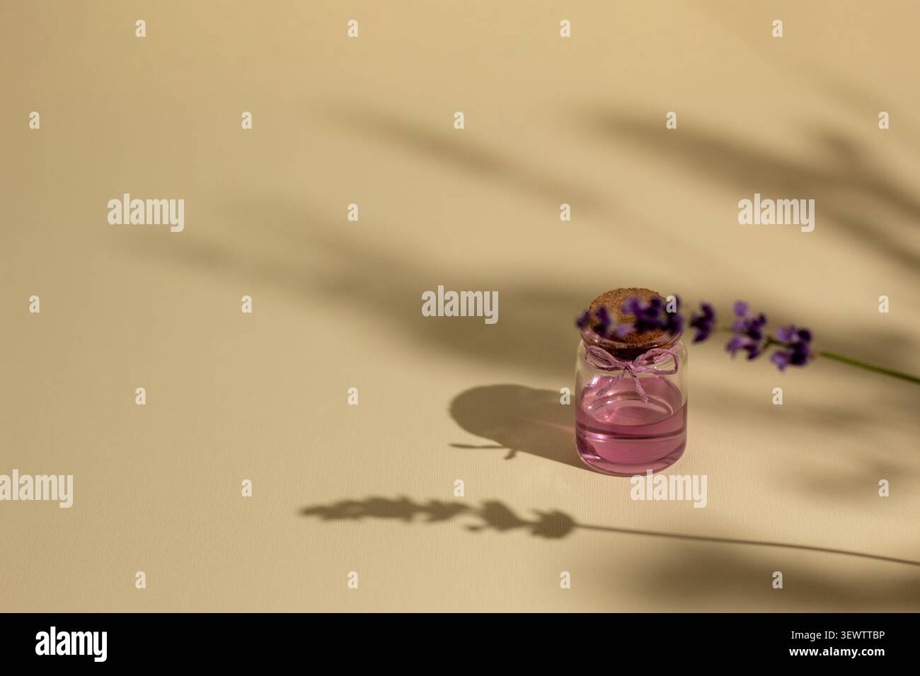 Composition de bien-être minimaliste avec des fleurs de lavande et une bouteille en verre rose avec des ombres naturelles douces sur un fond beige chaud, créant un CA Banque D'Images