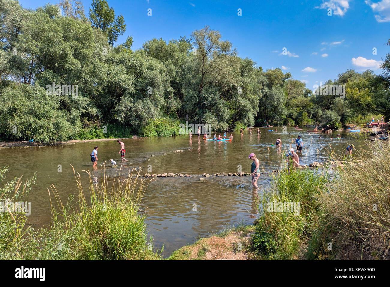 Heidelberg, Allemagne - 29 juin 2026 : les gens nagent dans la rivière Altneckar, un lac Oxbow de la rivière Neckar, pendant une canicule estivale dans l'Unter Banque D'Images