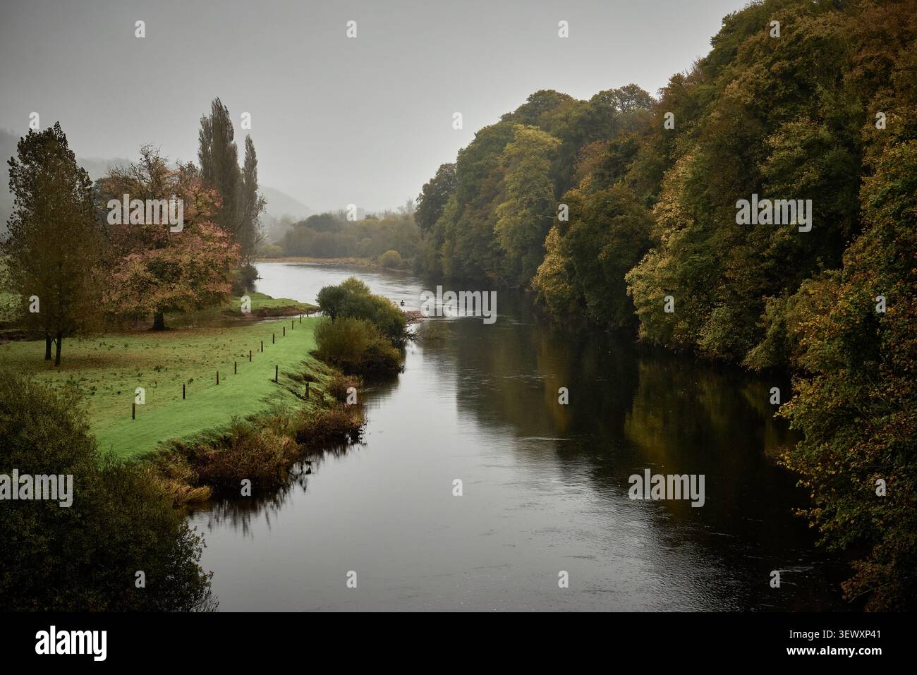 La rivière Blackwater traversant une forêt automnale près de Lismore dans le comté de Waterford, Irlande Banque D'Images