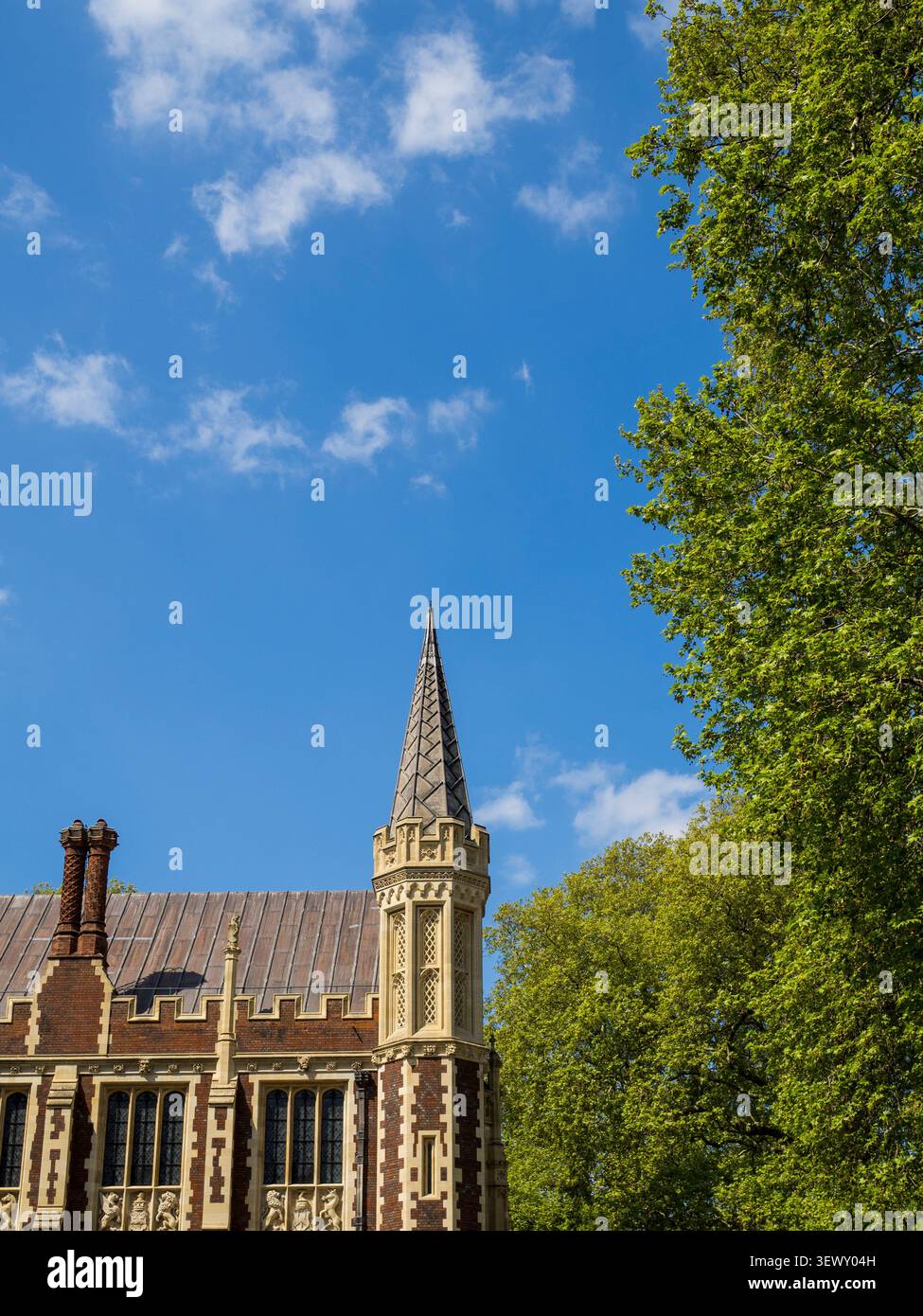 Lincoln's Inn Library, Lincolns Inn, Londres, Angleterre, Royaume-Uni. Banque D'Images