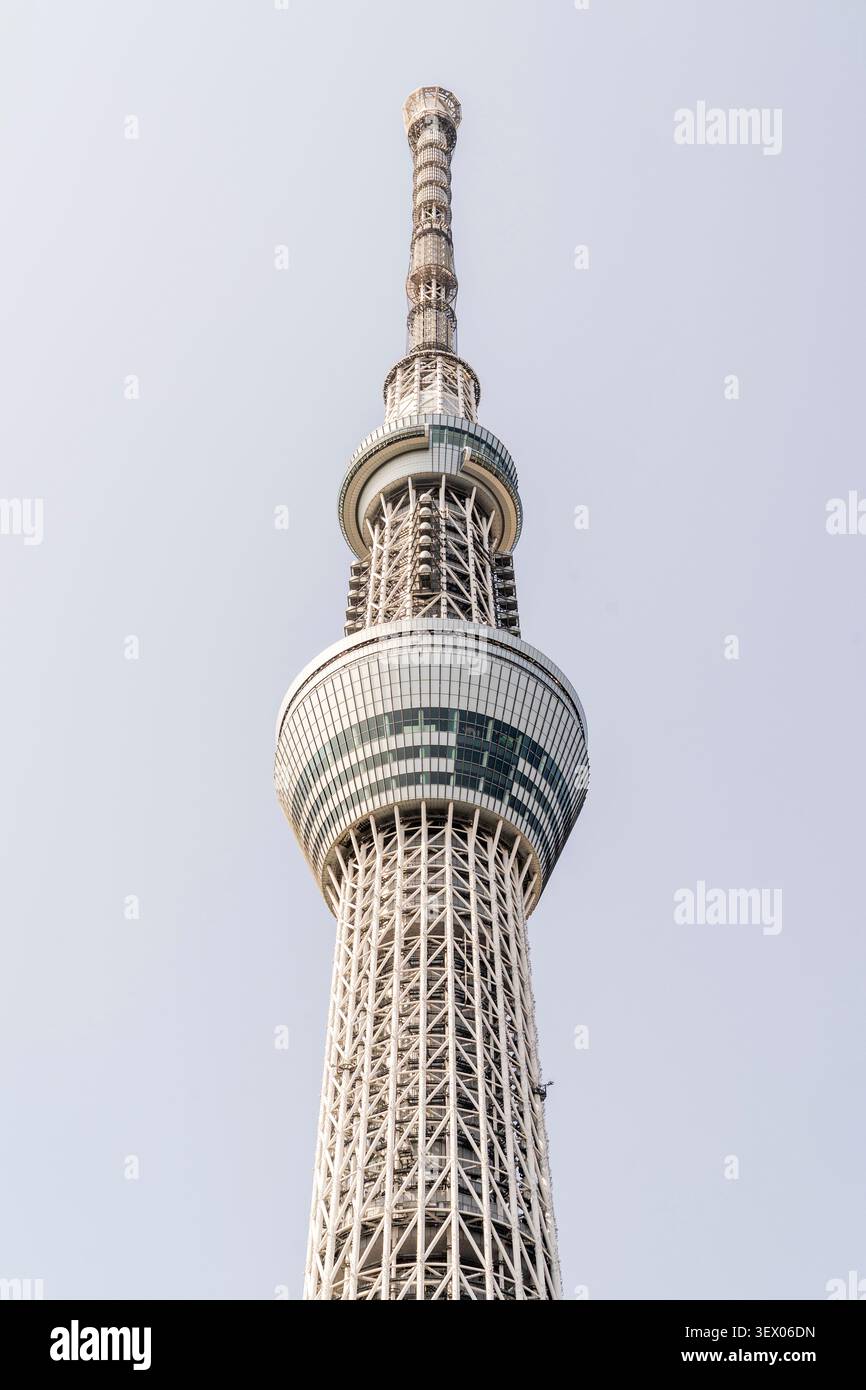 Vue au sol en regardant vers le pont d'observation de la tour de radiodiffusion Tokyo Skytree à Sumida, Tokyo. Jour avec fond de ciel bleu. Banque D'Images