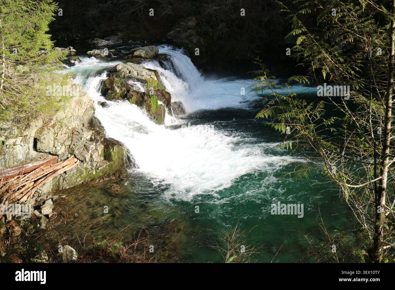 Cascades du Nord-Ouest pacifique Banque D'Images