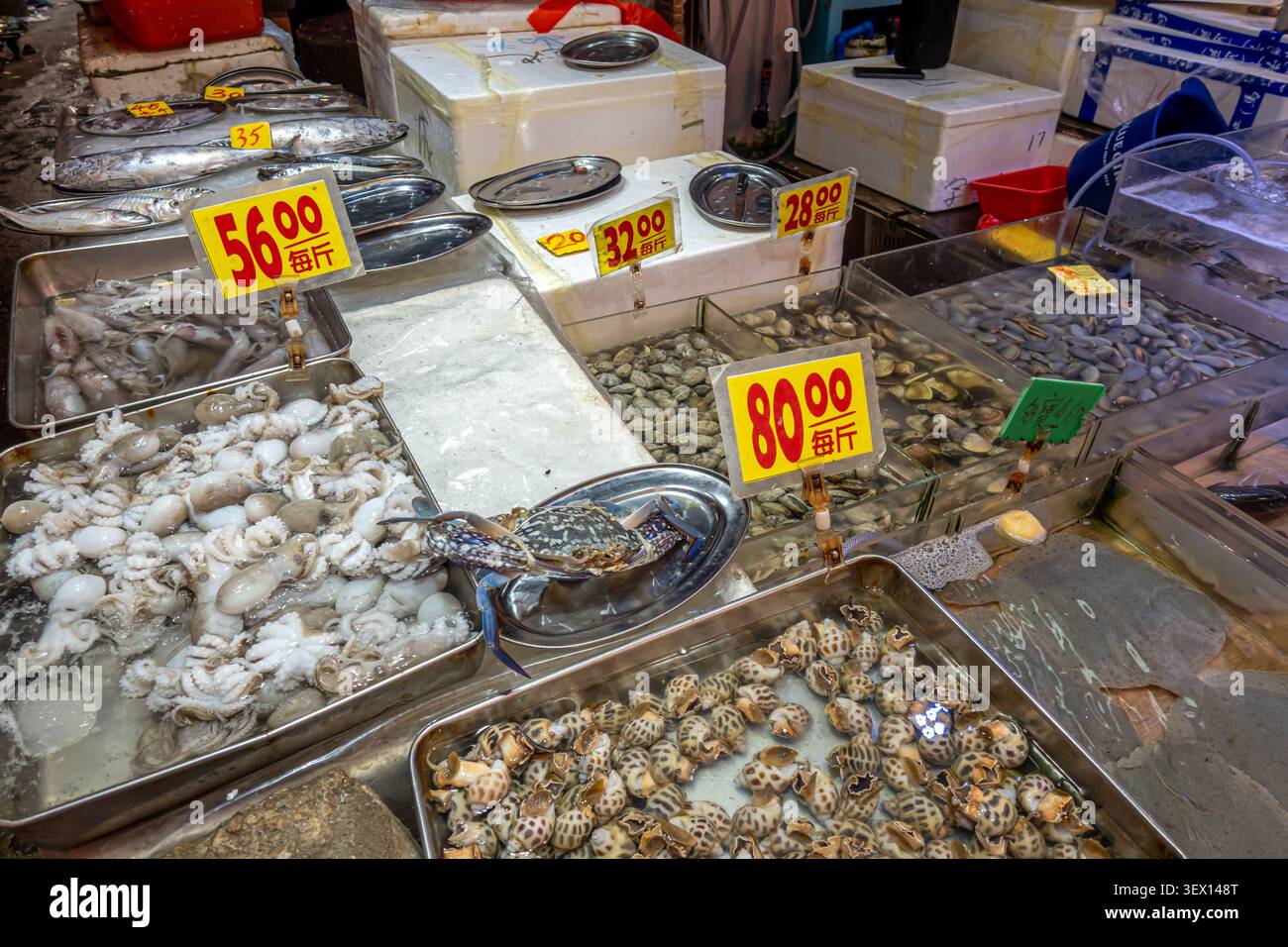 Market Display propose des fruits de mer frais, avec des prix indiqués en caractères chinois pour « par catty » (斤), Bowrington Market, Hong Kong, Asie Banque D'Images