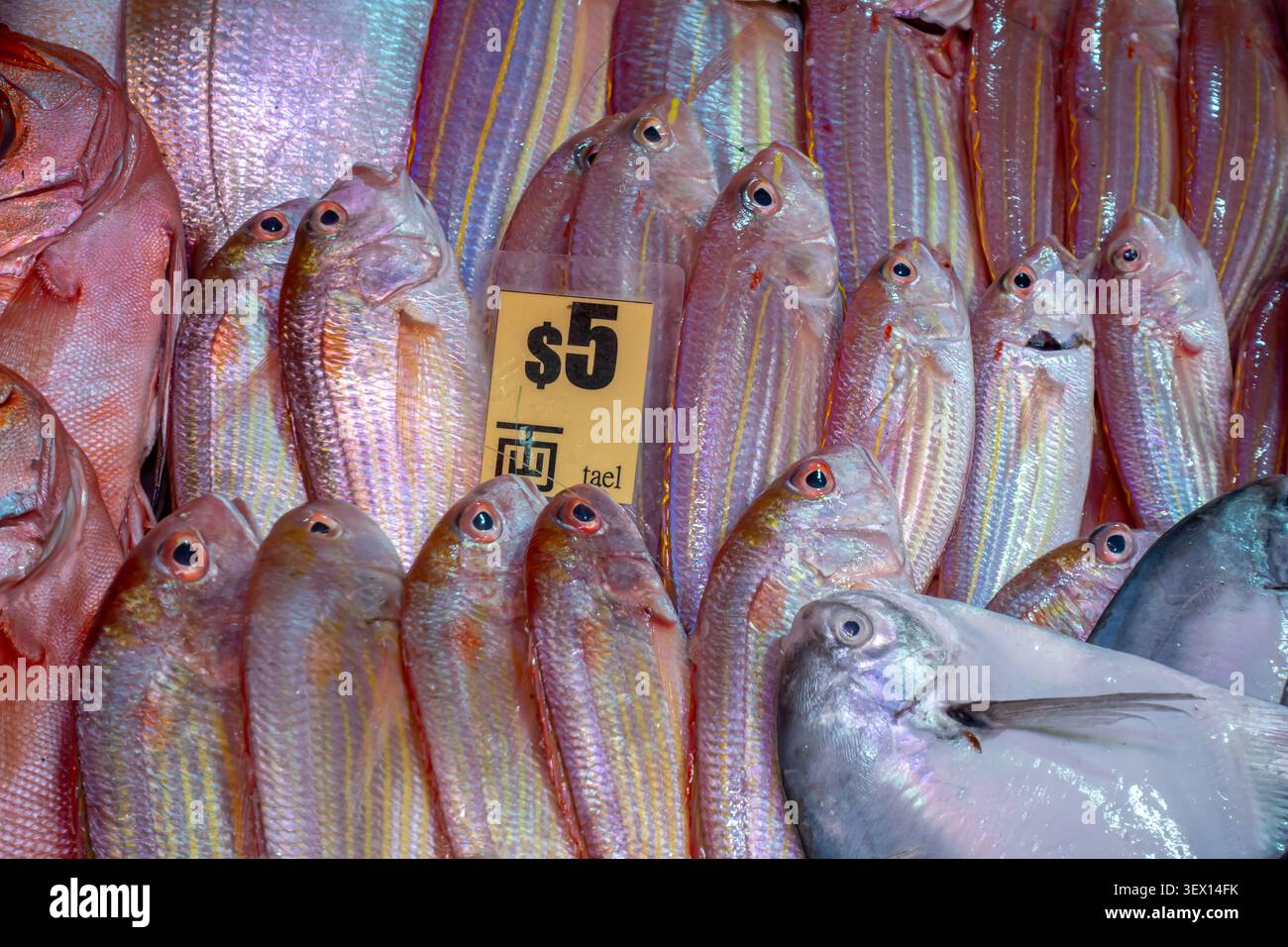 Threadfin Bream sur le marché humide de Hong Kong avec une étiquette de prix HKD 5 par tael, l'unité de poids, Bowrington Road Market, Hong Kong Banque D'Images