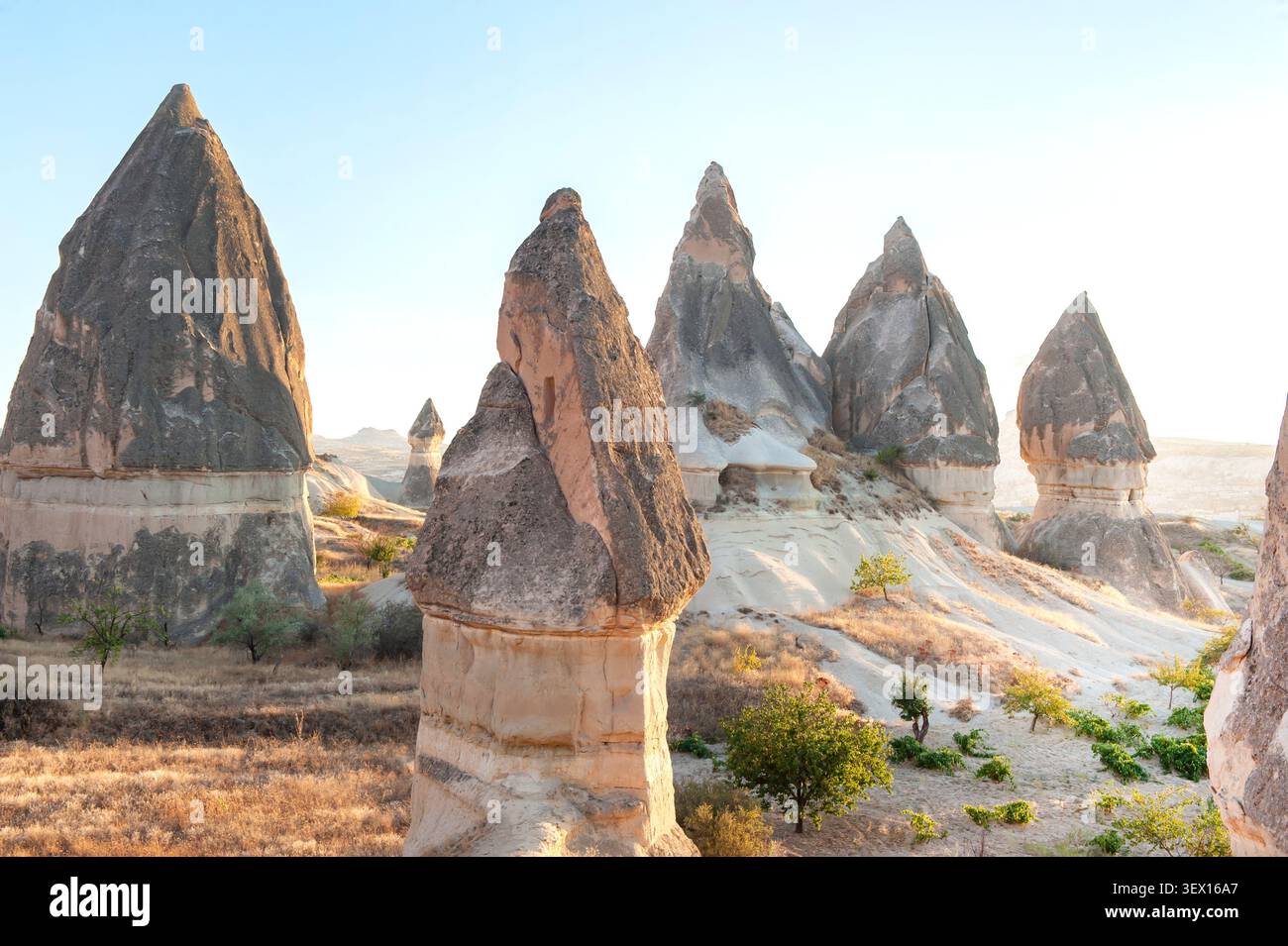 Formations rocheuses en forme de phallique dans le paysage volcanique du parc national de Cappadoce dans la belle région anatolienne du centre de la Turquie. Banque D'Images