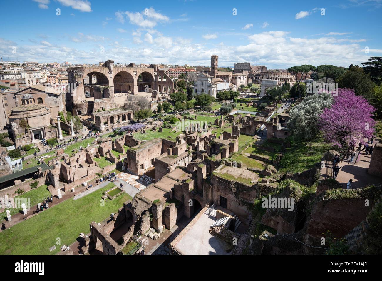 ROME, ITALIE - 26 mars 2026 : vue panoramique à angle élevé du Forum Romanum avec la Basilique de Maxence, le Colisée et les touristes explorant l'ancienne R Banque D'Images