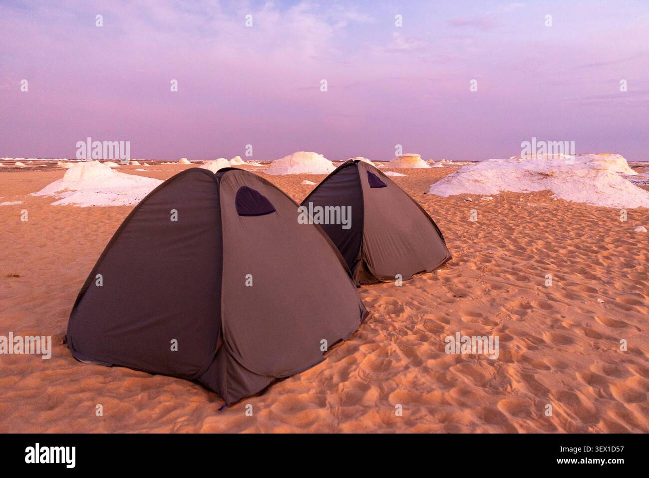 Deux tentes dôme sur le sable au crépuscule avec des formations de craie blanche, Désert Blanc, Égypte Banque D'Images