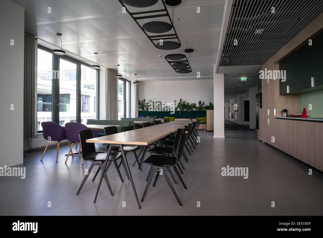 Cuisine de bureau moderne et espace de travail commun avec de longues tables chaises, coin salon et plantes Banque D'Images