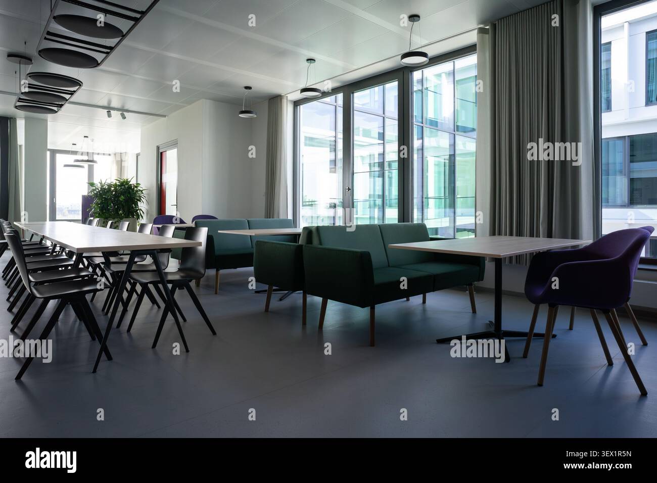 Cuisine de bureau moderne et espace de travail commun avec de longues tables chaises, coin salon et plantes Banque D'Images
