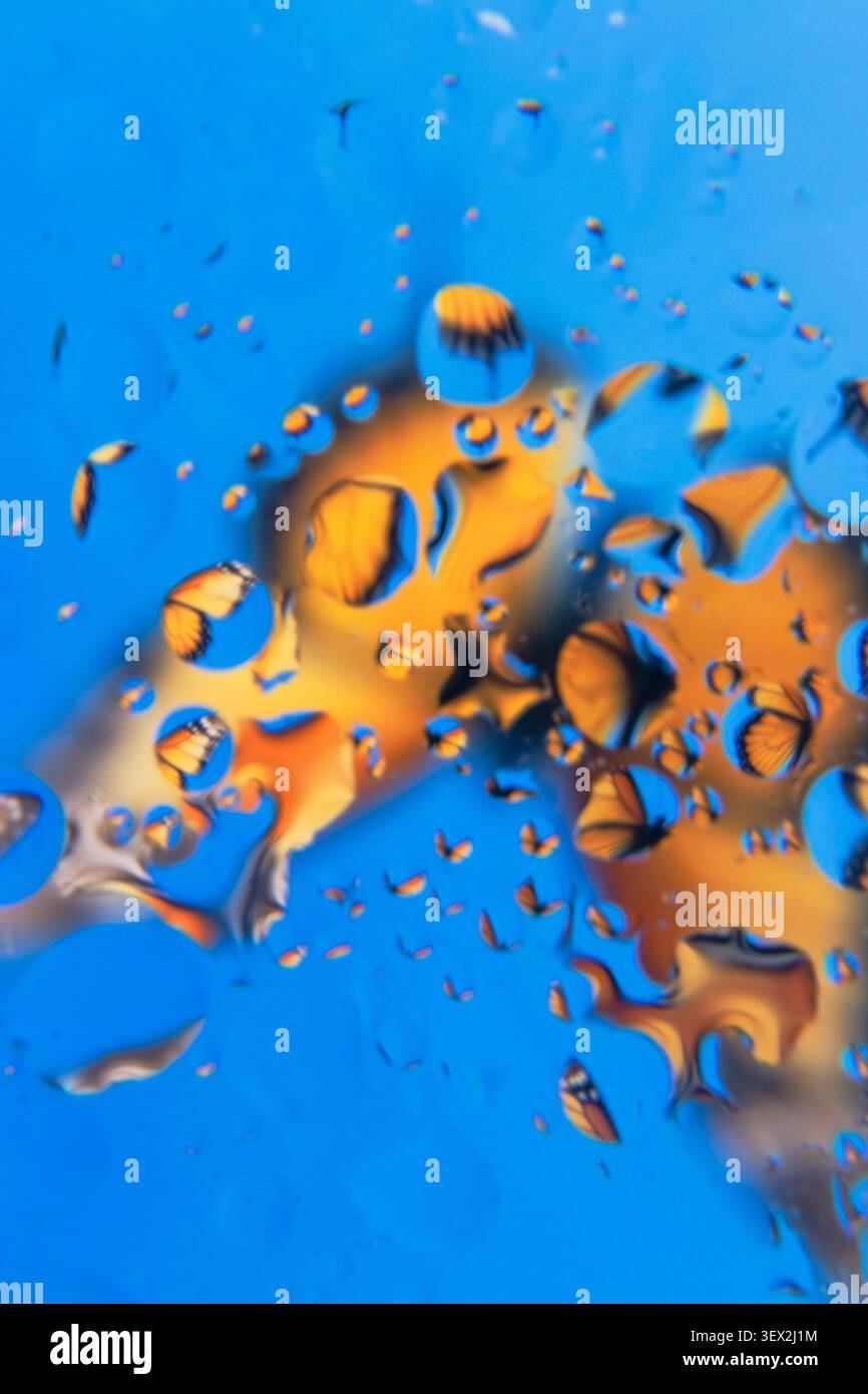 Fond bleu avec des gouttelettes d'eau dorées déformées. Les gouttelettes s'accrochent au verre, formant des formes complexes. Les teintes dorées se mélangent au bleu, créant un abst Banque D'Images