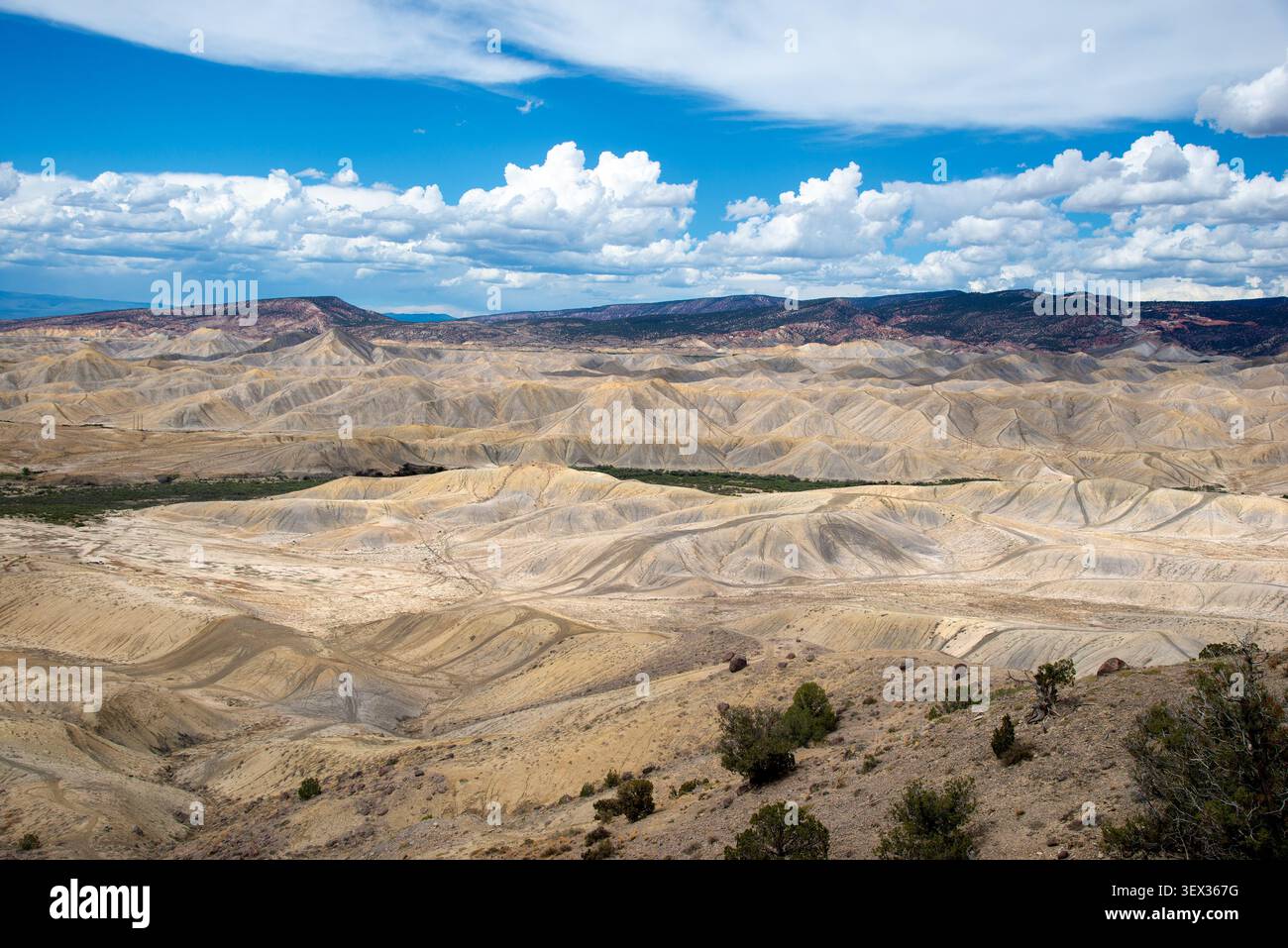 Les hauts déserts du versant ouest du Colorado. Banque D'Images