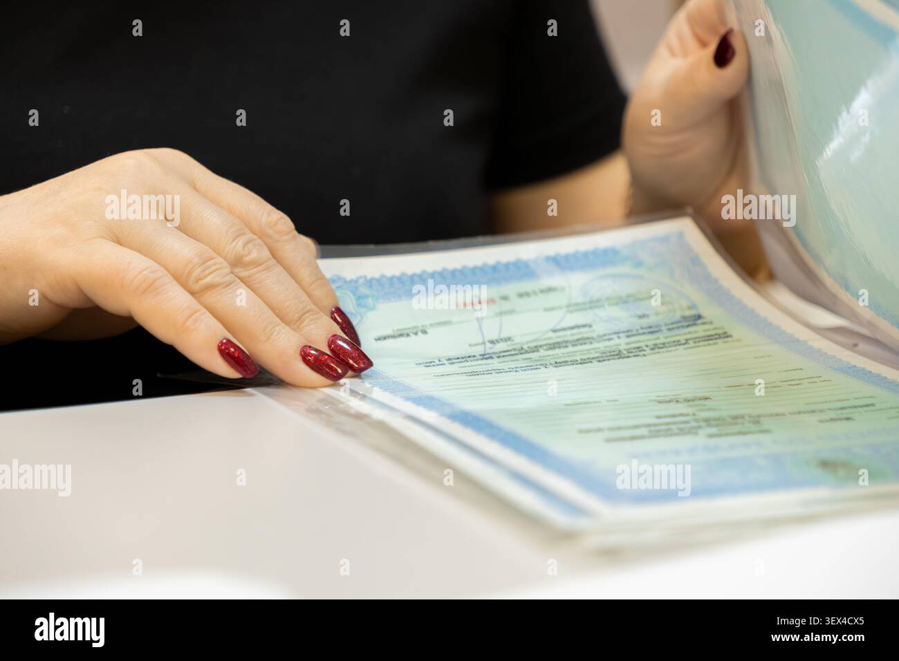 Des professionnels examinent un document formel à l'intérieur d'un classeur pour refléter la tenue minutieuse des dossiers, l'excellence administrative, la validation juridique et un sens Banque D'Images