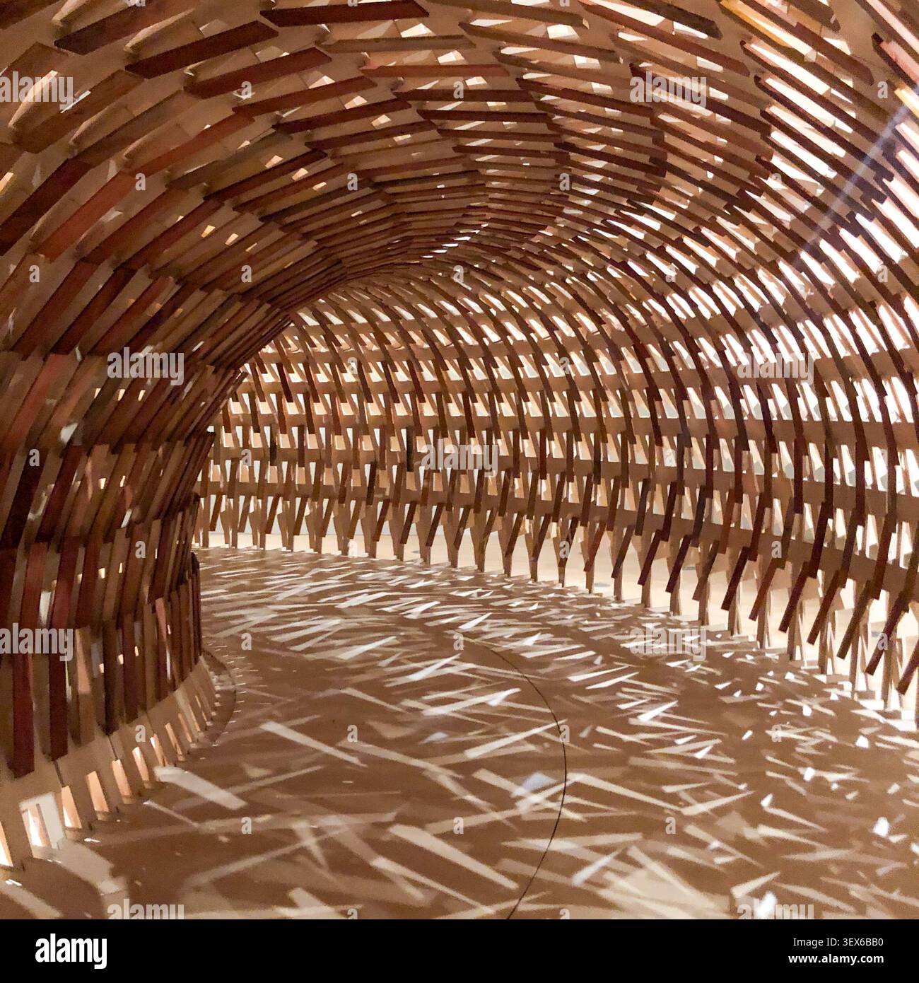 Tunnel architectural immersif et incurvé construit à partir de lattes de bois entrelacées, complexe de coulée, motifs lumineux géométriques à travers le chemin intérieur Banque D'Images