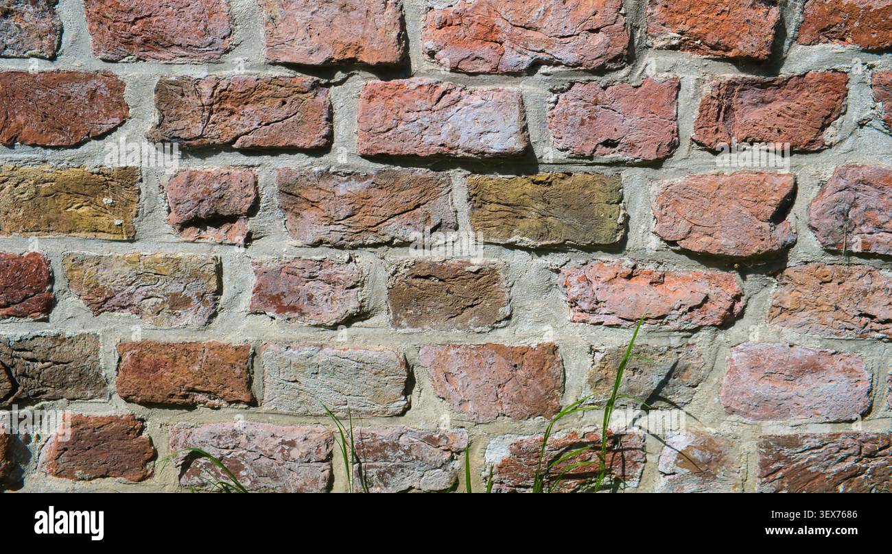 Gros plan d'un vieux mur texturé en briques du XIe siècle (en néerlandais : kloostermoppen). Mur d'une église dans le nord des pays-Bas Banque D'Images