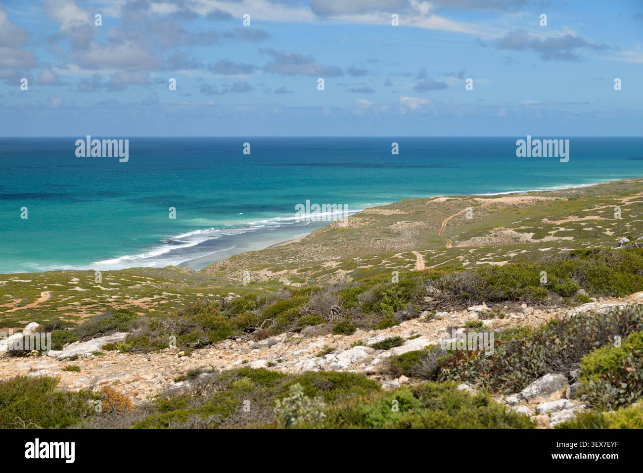 Australie, Australie méridionale, Nullarbor, point de vue panoramique n° 3 de Great Australian Bight, vue panoramique sur la côte de Great Australian Bight depuis le plateau calcaire Banque D'Images