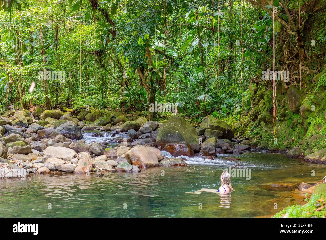 France, Guadeloupe, basse-Terre, petit-Bourg, sentier trace des ruisseaux, baignade dans la rivière bras David Banque D'Images