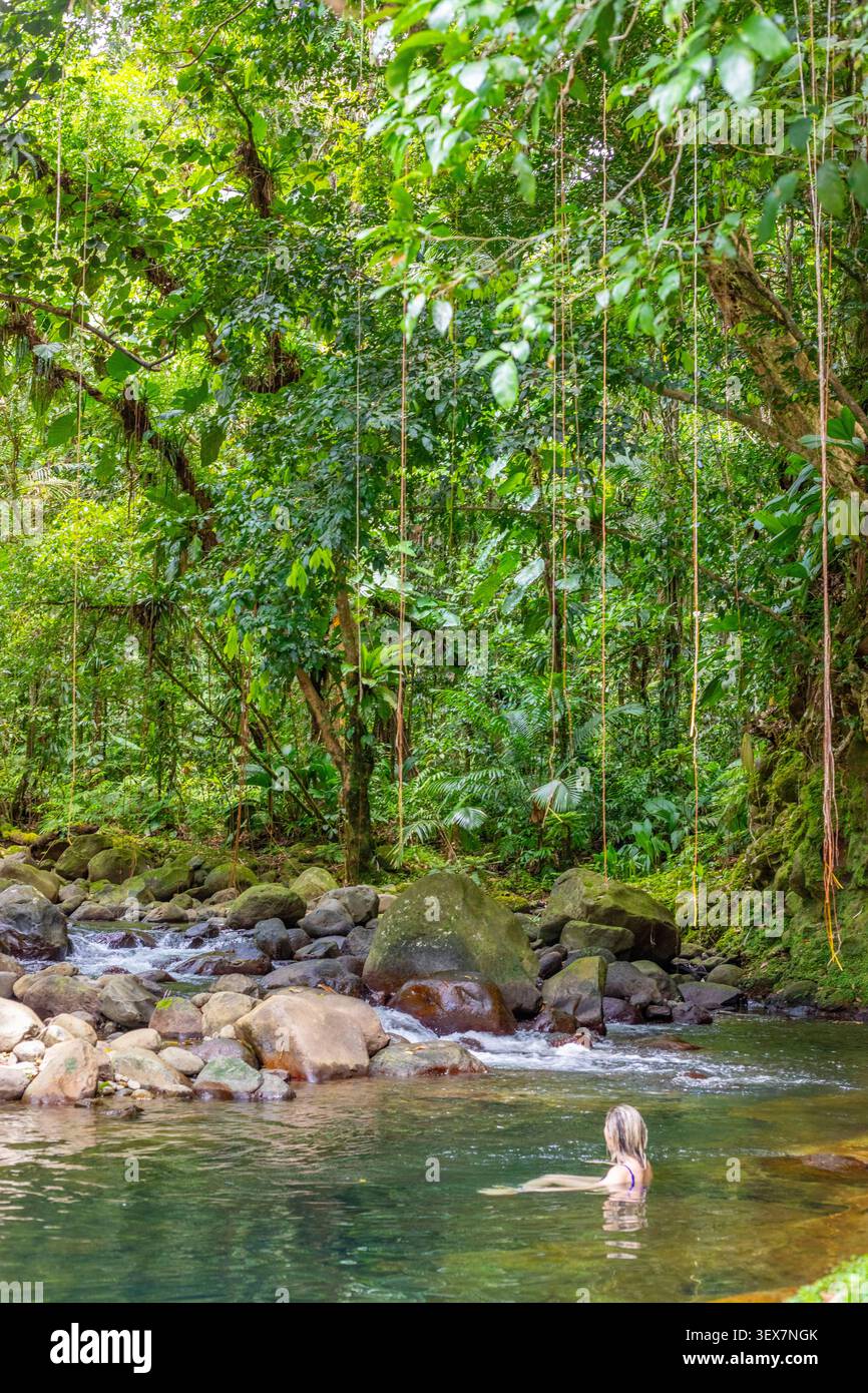 France, Guadeloupe, basse-Terre, petit-Bourg, sentier trace des ruisseaux, baignade dans la rivière bras David Banque D'Images