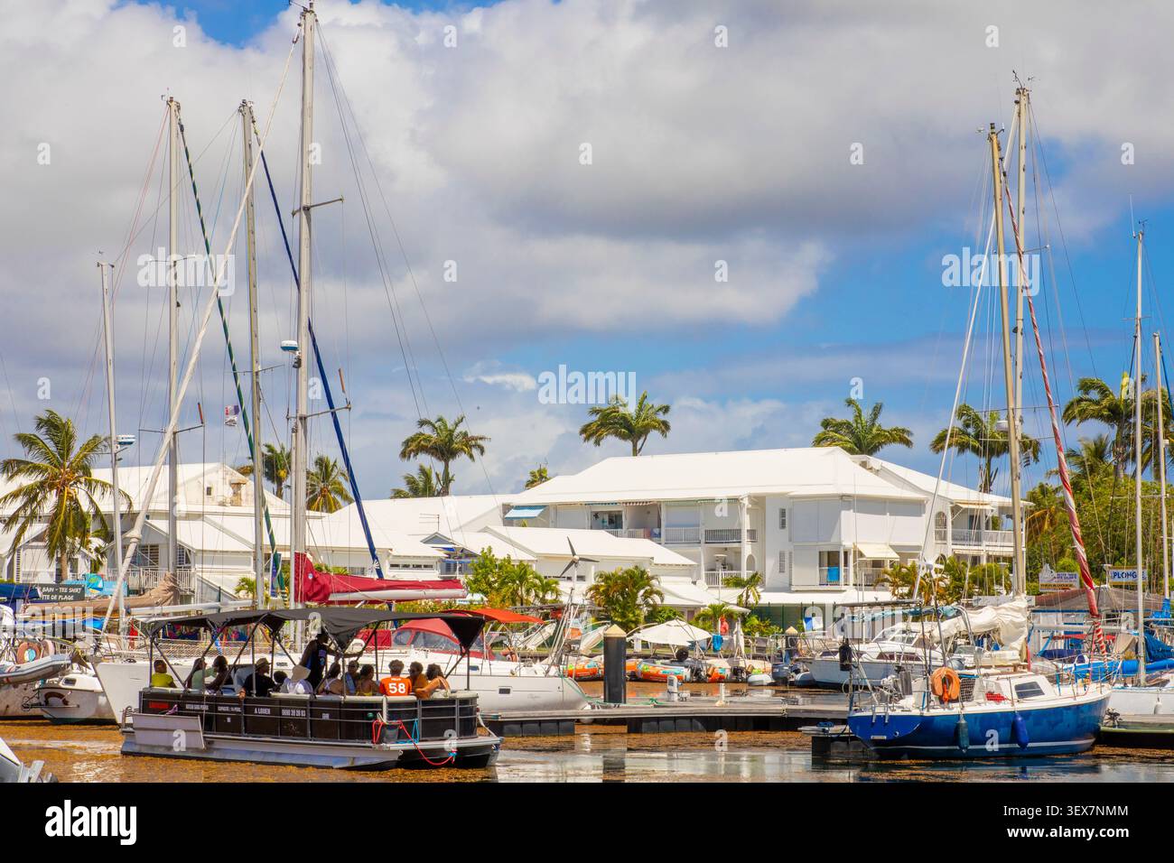 France, Guadeloupe, Grande-Terre, Saint-François, port de plaisance, bateaux de plaisance dans le port Banque D'Images